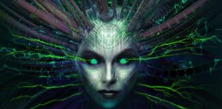 The face of the main antagonist, the AI SHODAN from the System Shock game.