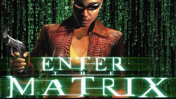 Enter the Matrix cover